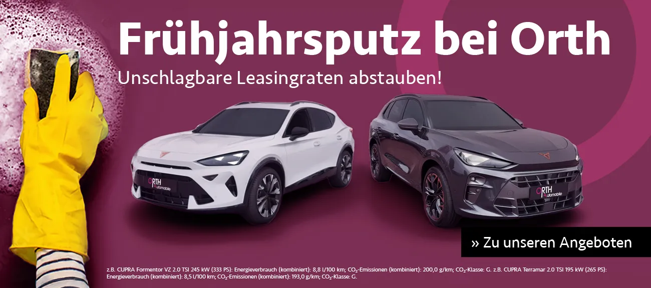 Fruehjahrsputz Cupra Q1